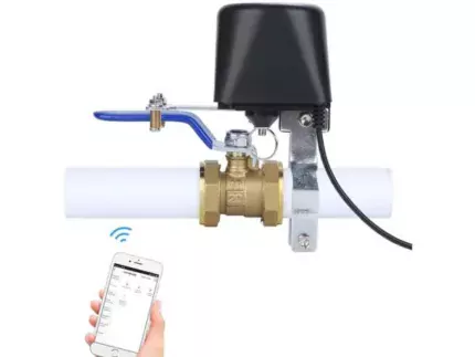 WVALVE 5355 jpg