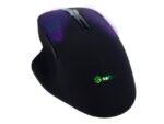 SF MOUSE B 9268.jpg