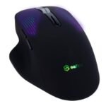 SF MOUSE B 9268.jpg